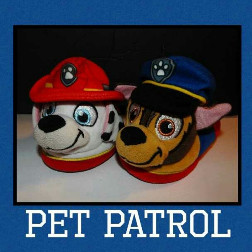 BUY 2 GET 1 FREE Pet Patrol Slippers!! Size: 5-6